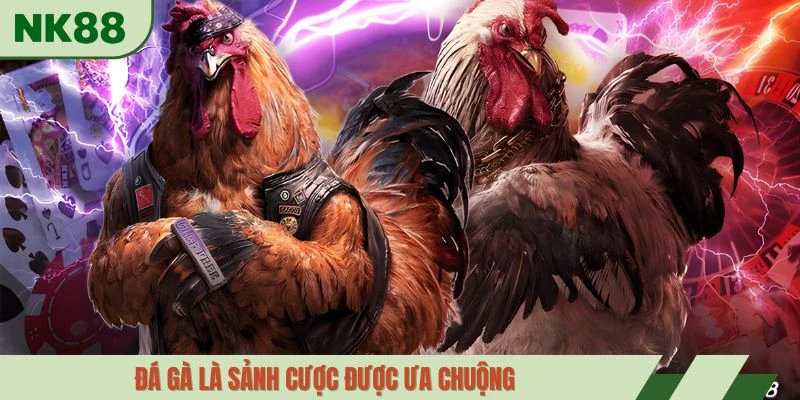 Đá gà là sảnh cược được ưa chuộng